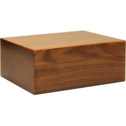 Pegasus Humidor Walnuss matt 35