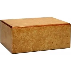 Guy Janot Humidor Wurzel Glanz 35