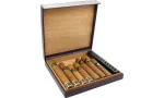 Bulldog by Dunhill Reisehumidor 10 lila Foto 4