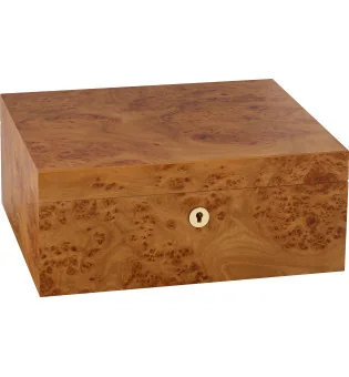 adorini Humidor Catania Ulmenholz Medium Deluxe