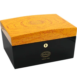 Partagas Classic Global Brand Humidor 30-50 Zigarren